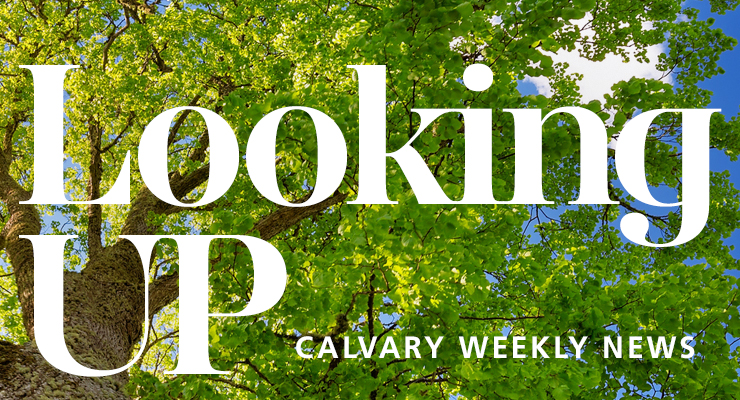 Weekly News
